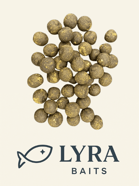 Boillies BigFish 20mm solubile